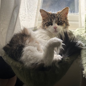 Fundraising Page: Ashley Beyer